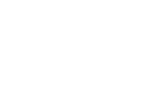 Dynamics AI Robot